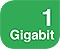 1 Gigabit